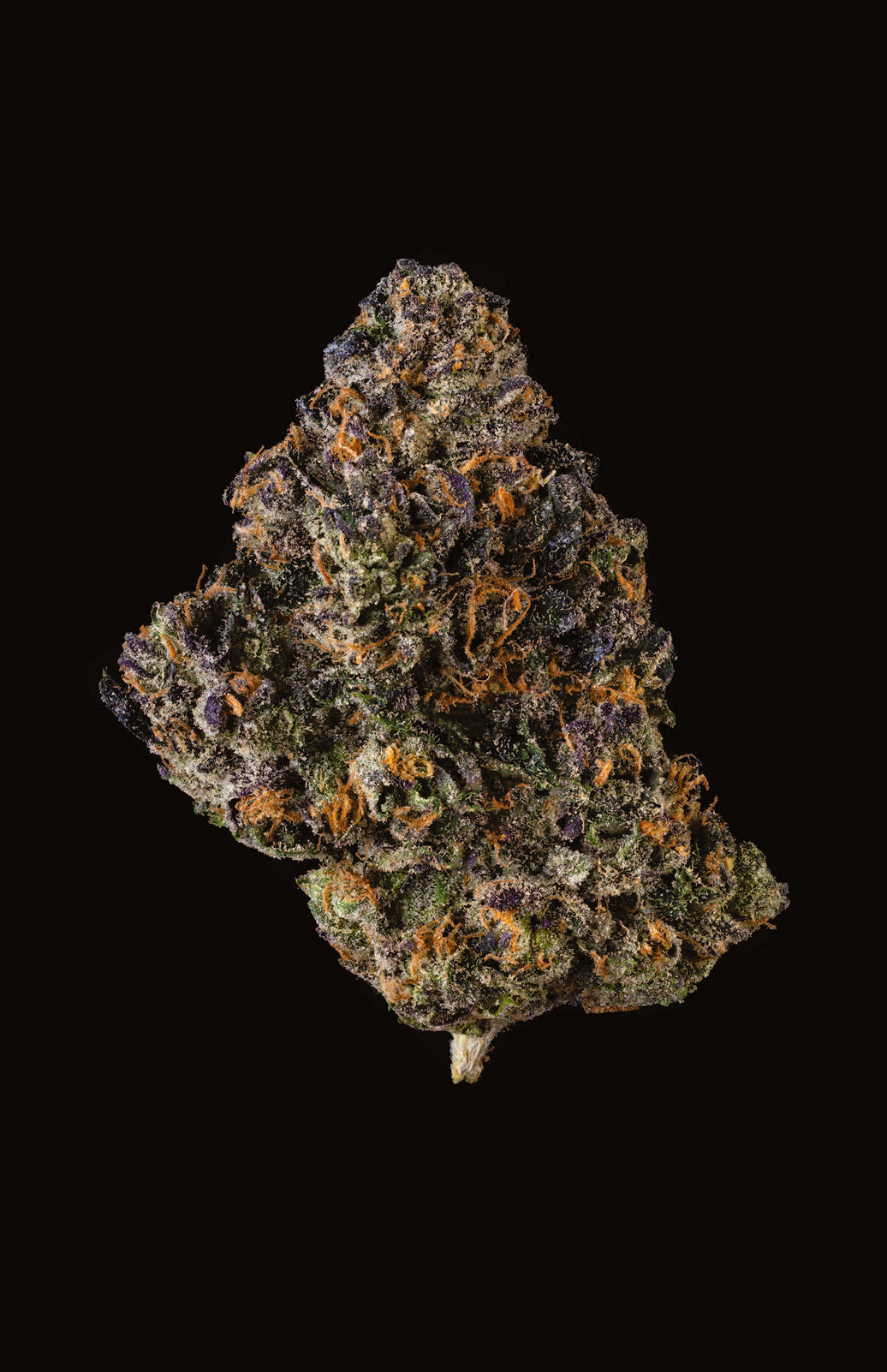 G3 BLUEBERRY CAVIAR X POM SHAKE
