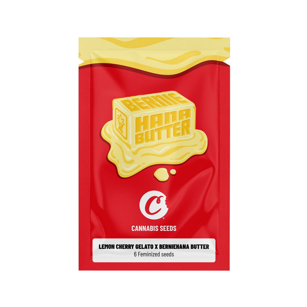 Graines Lemon Cherry Gelato x Berniehana Butter Féminisées B2B