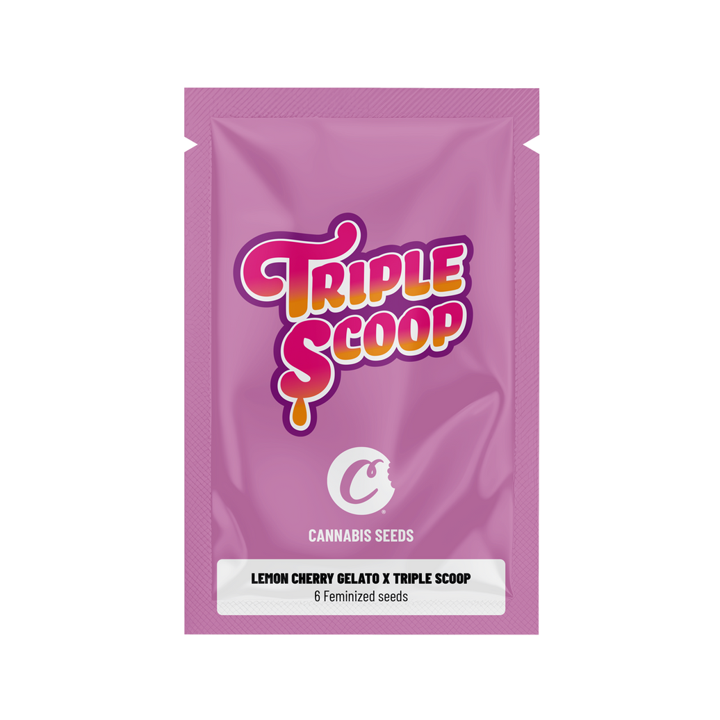 Lemon Cherry Gelato x Triple Scoop Feminized Seeds (x6)