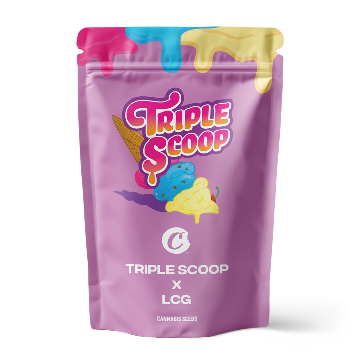 Triple Scoop X Lemon Cherry Gelato – 6 Pack (Feminized Seeds)