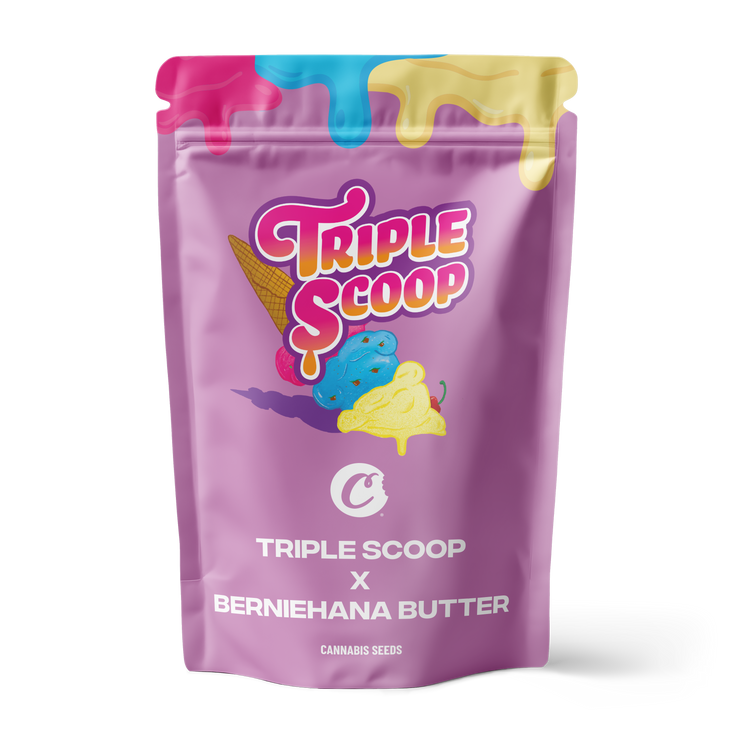 Triple Scoop X Berniehana Butter – 6 Pack (Feminized Seeds)