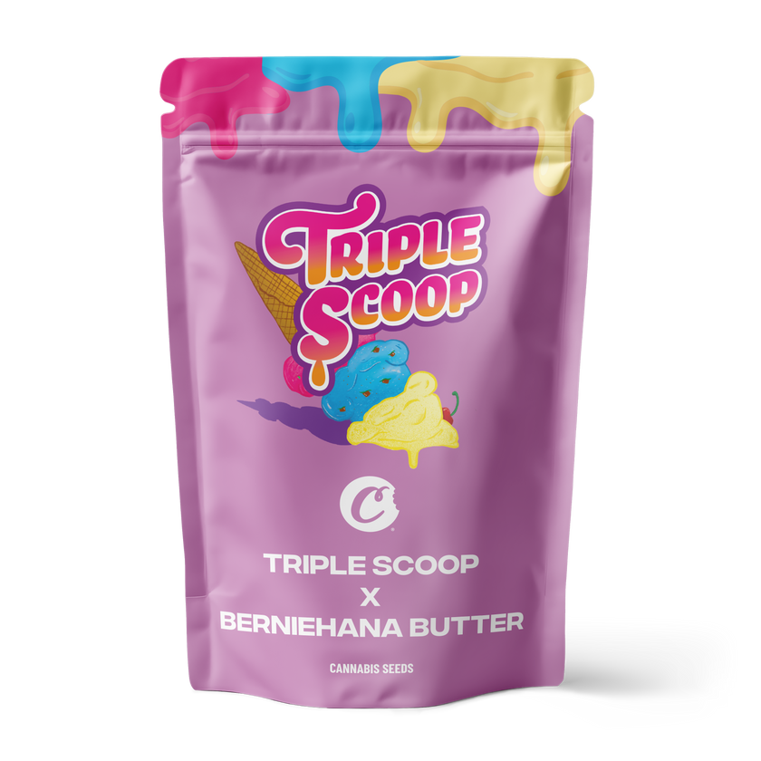 Triple Scoop X Berniehana Butter – 6 Pack (Feminized Seeds)