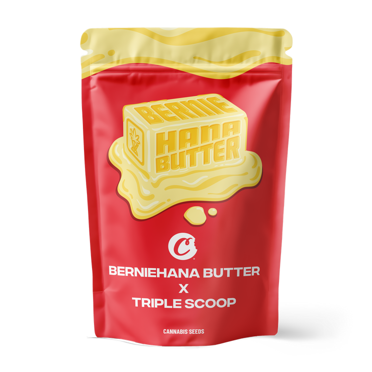 Berniehana Butter X Lemon Cherry Gelato – 6 Pack (Feminized Seeds)