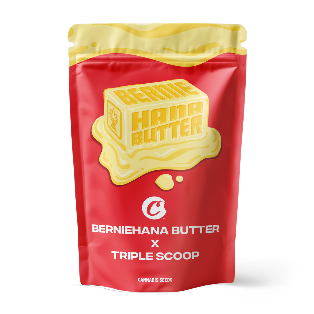 Berniehana Butter X Lemon Cherry Gelato – 6 Pack (Feminized Seeds)