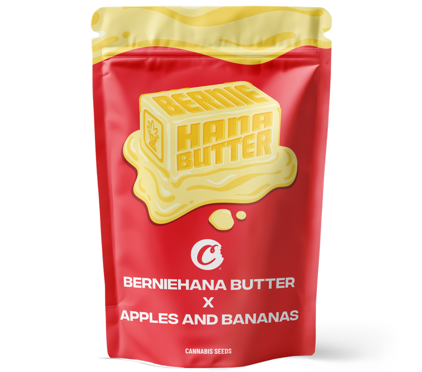 Berniehana Butter X Apples and Bananas – 6 Pack (Feminized Seeds)