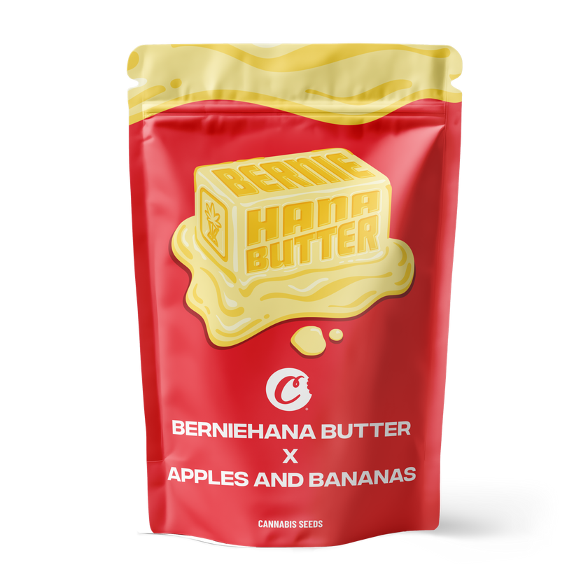 Berniehana Butter X Apples and Bananas – 6 Pack (Feminized Seeds)
