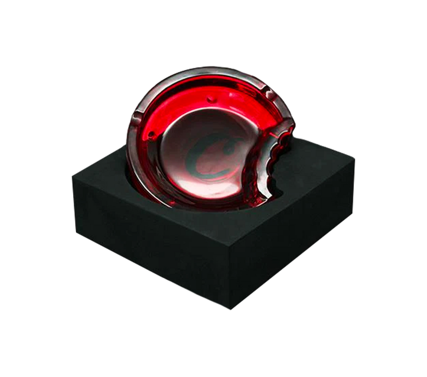 Ashtray Bitten