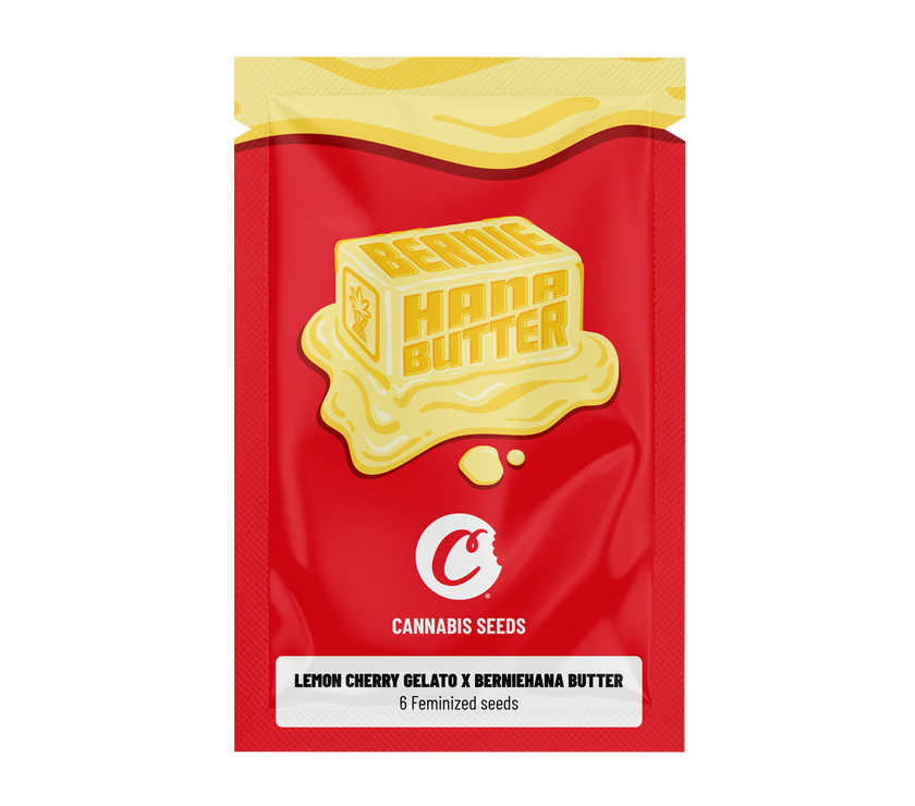 Lemon Cherry Gelato x Berniehana Butter Feminized Seeds (x6)