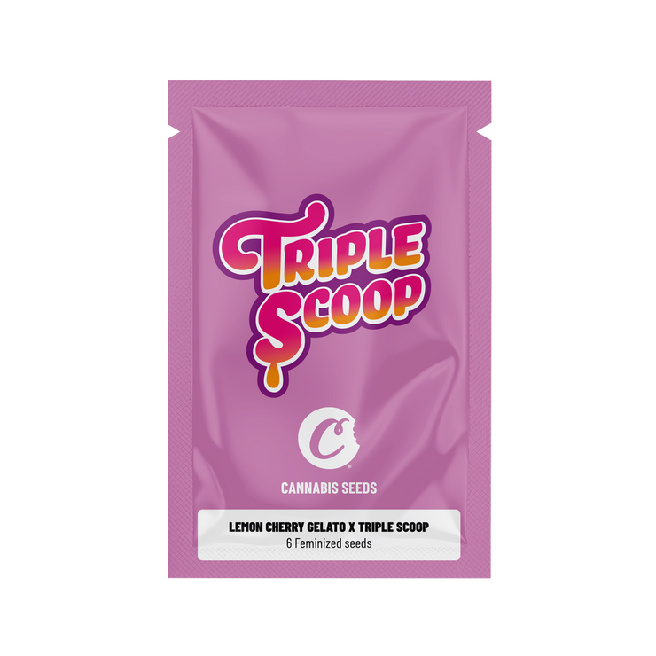 Lemon Cherry Gelato x Triple Scoop Feminized Seeds (x6)