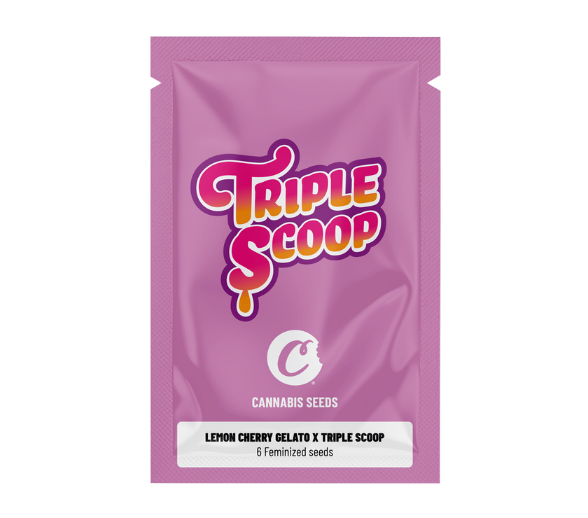 Lemon Cherry Gelato x Triple Scoop Feminized Seeds (x6)