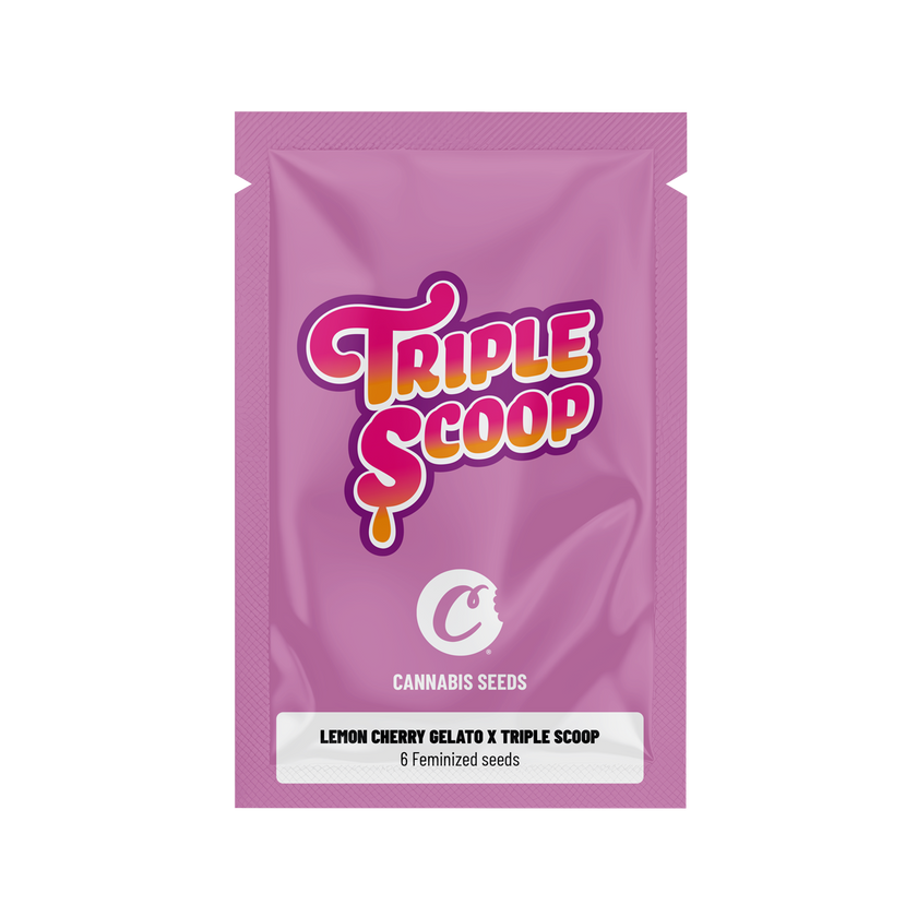 Lemon Cherry Gelato x Triple Scoop Feminized Seeds (x6)
