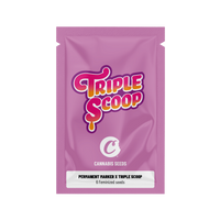 Permanent Marker x Triple Scoop COOKIES Feminisierte Samen (x6)