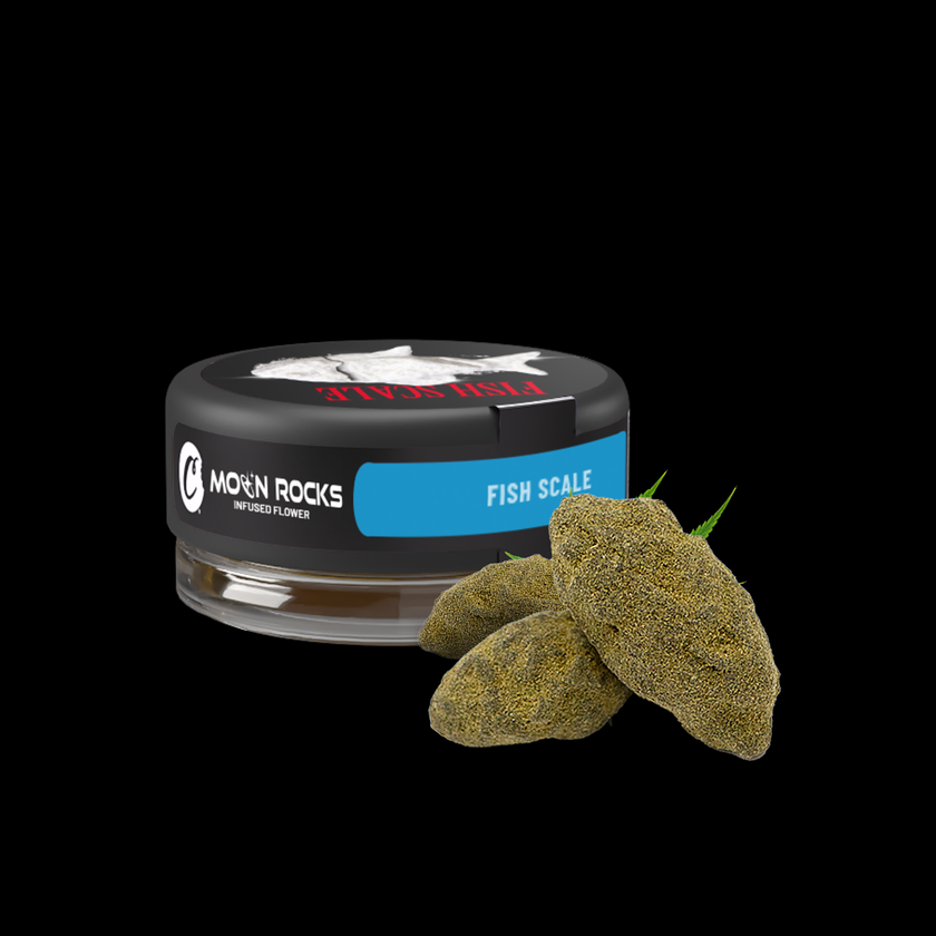 Moonrock Infusée Fish Scale